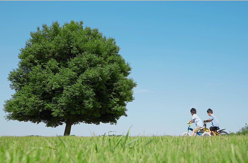 SUSTAINABILITY
