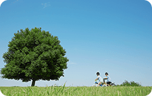 SUSTAINABILITY
